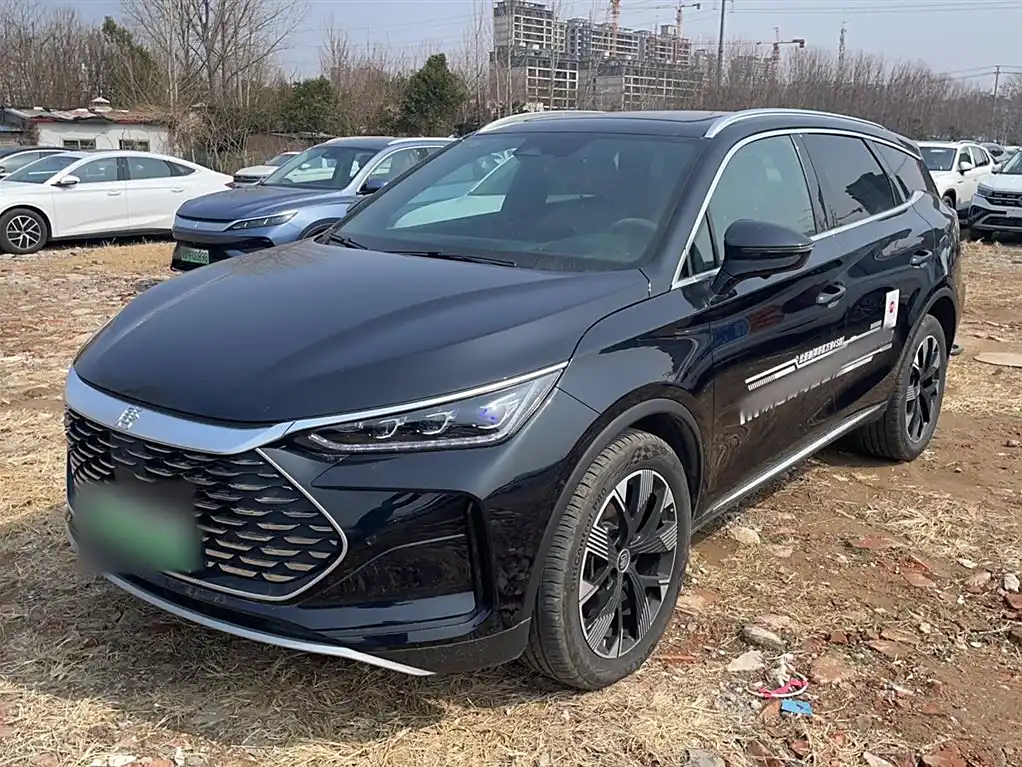 BYD TANG NEW ENERGY
