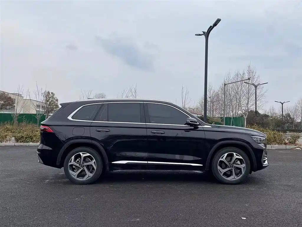 GEELY AUTO MONJARO 2021