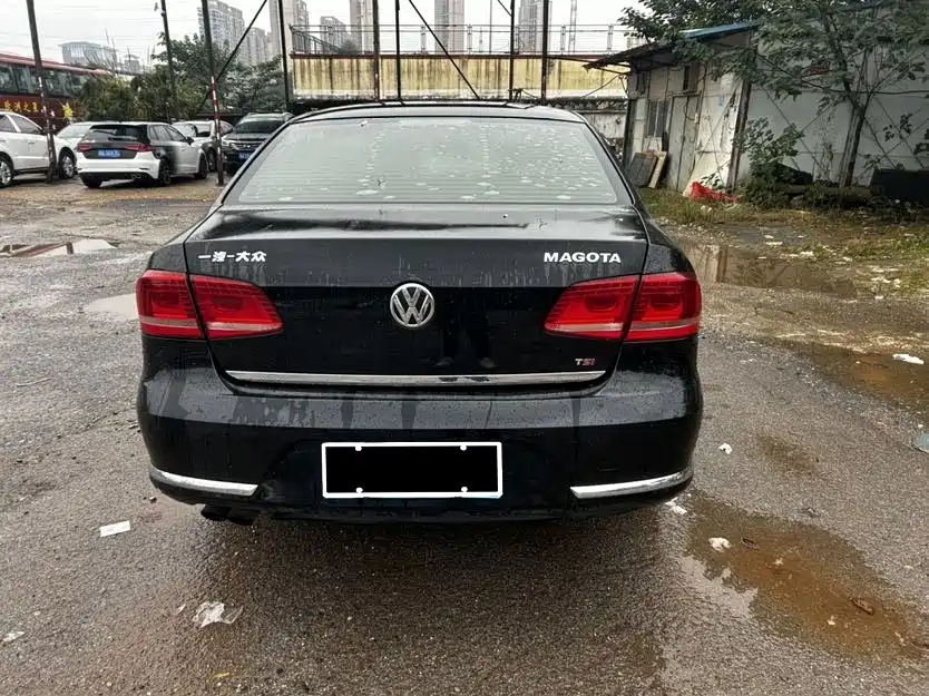 VOLKSWAGEN MAGOTAN 2013