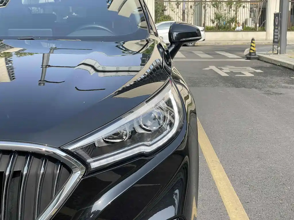 HONGQI H5 2021