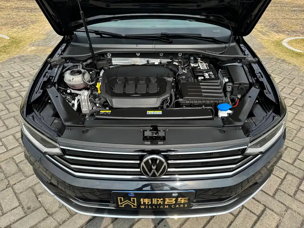 VOLKSWAGEN MAGOTAN 2022