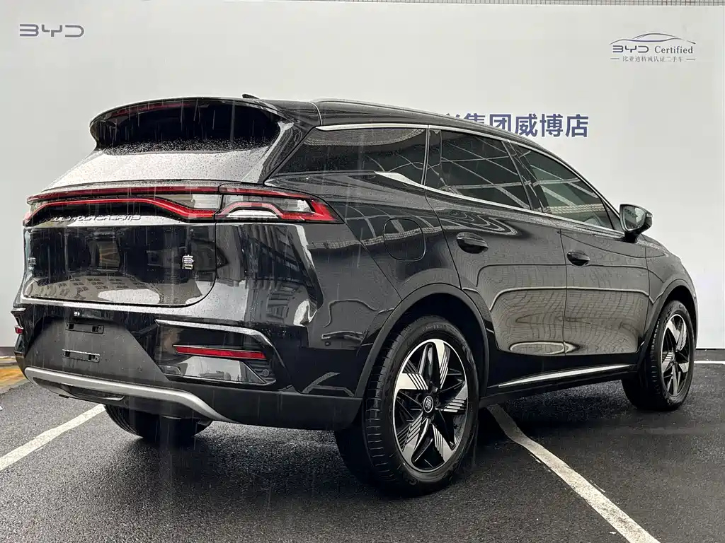 BYD TANG NEW ENERGY 2024