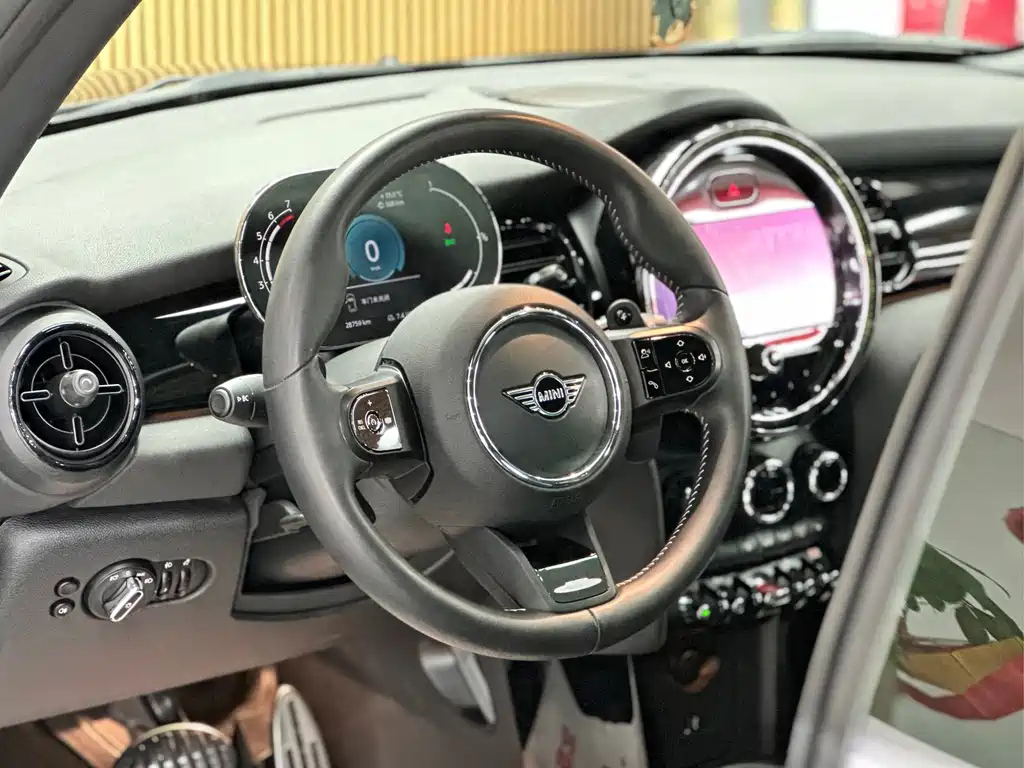 MINI OTHER 2022