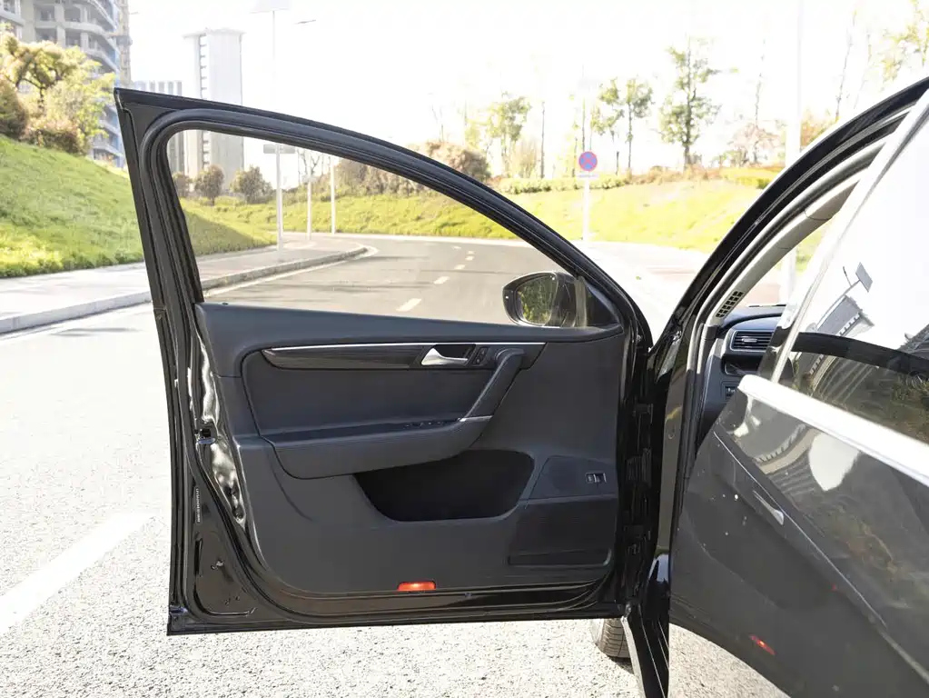 VOLKSWAGEN MAGOTAN 2014