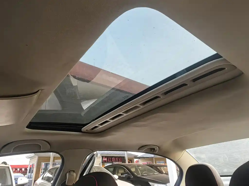 VOLKSWAGEN LAVIDA 2010
