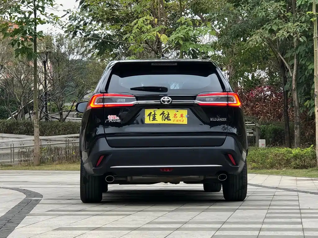 TOYOTA WILDLANDER 2022