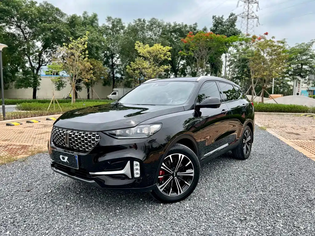 Аукционный лист WEY VV6 2020