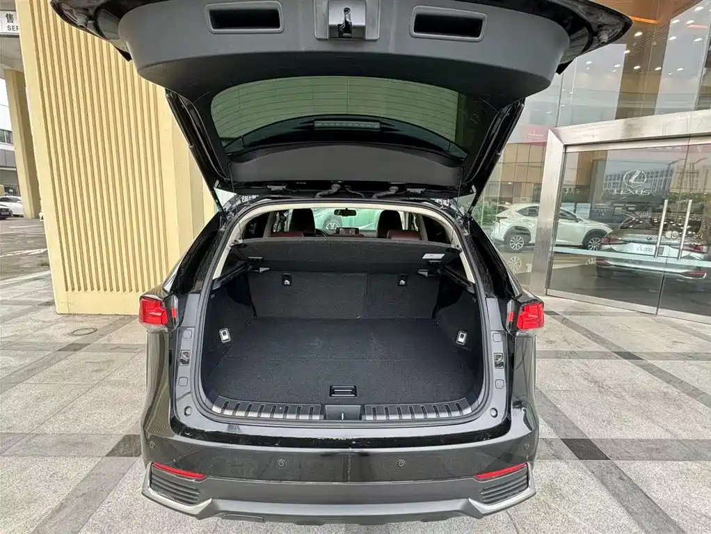 LEXUS NX 2020