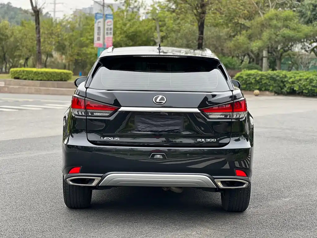 LEXUS RX 2022