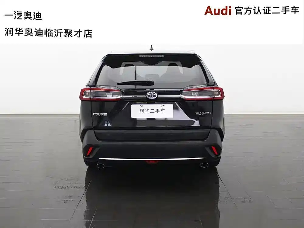 TOYOTA WILDLANDER 2020