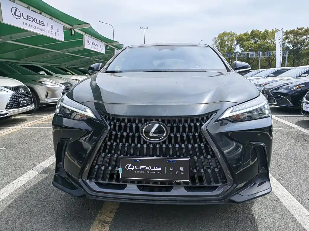 LEXUS NX 2022