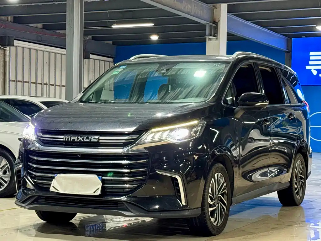 MAXUS OTHER 2020