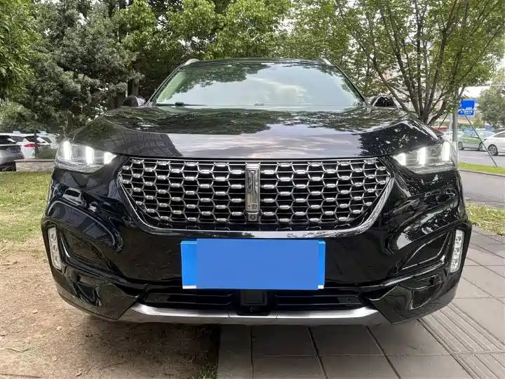 WEY VV6 2020