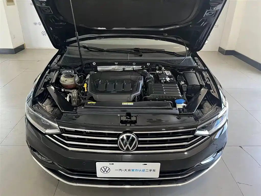 VOLKSWAGEN MAGOTAN 2021
