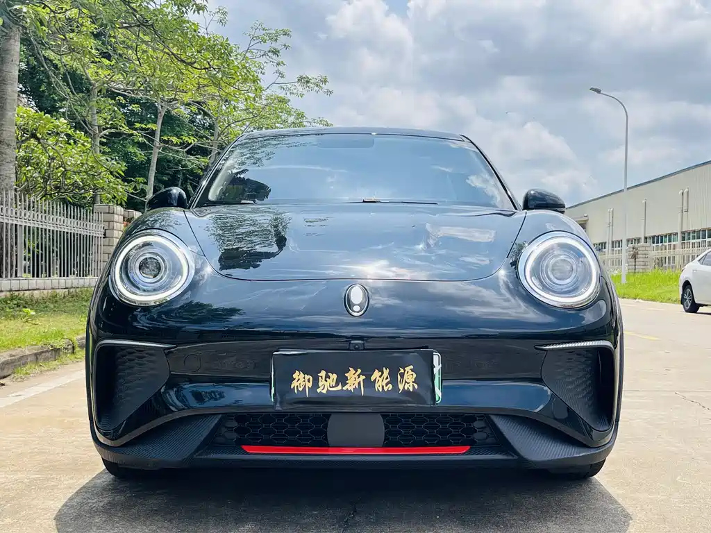 Аукционный лист ORA GOOD CAT GT 2022