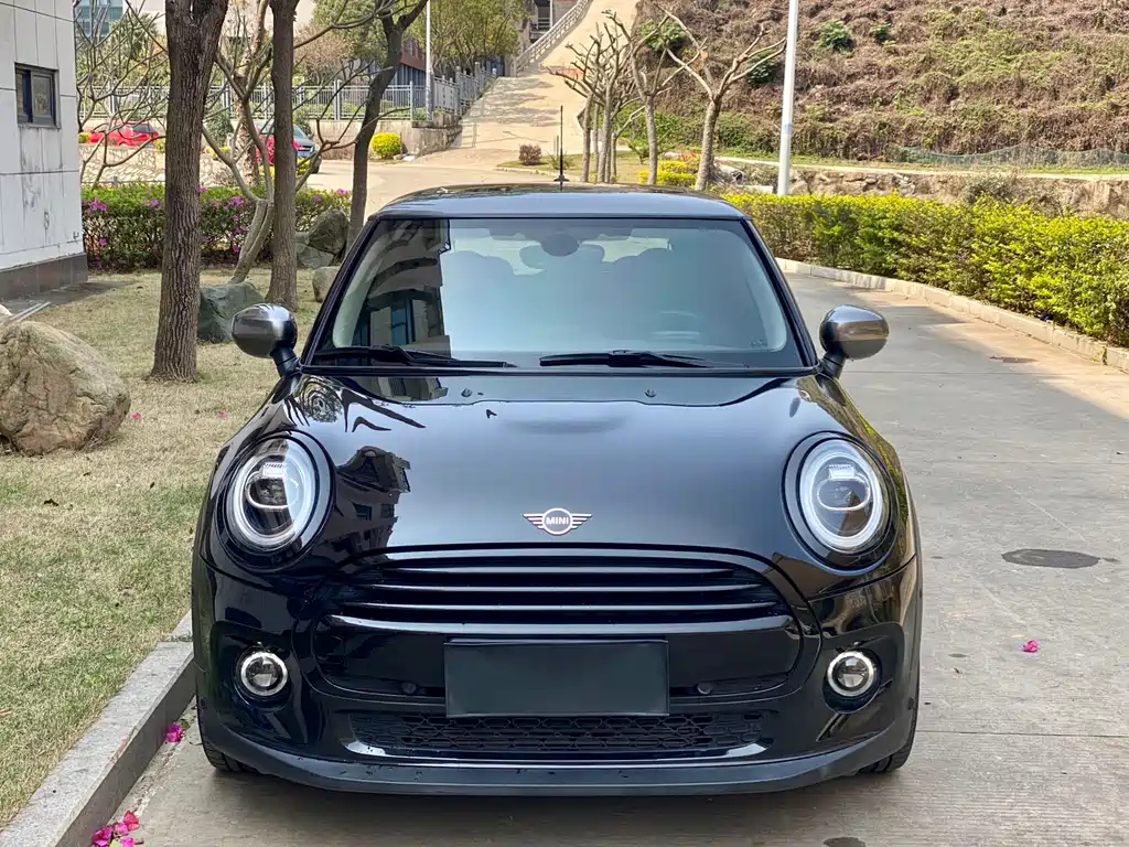 MINI OTHER 2021
