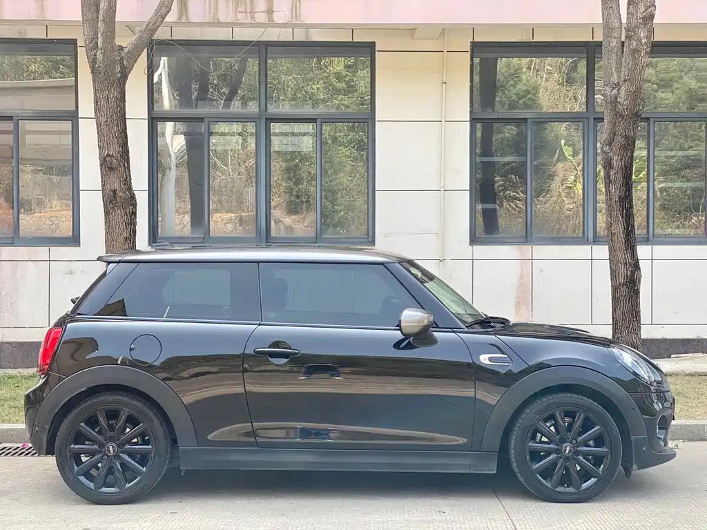 MINI OTHER 2021