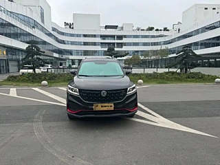 DONGFENG SCENERY 580 2021