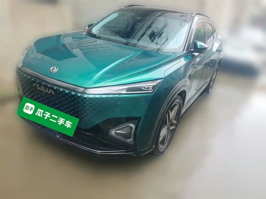 DONGFENG OTHER 2023