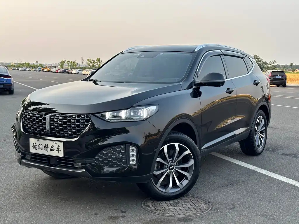 Аукционный лист WEY VV6 2020