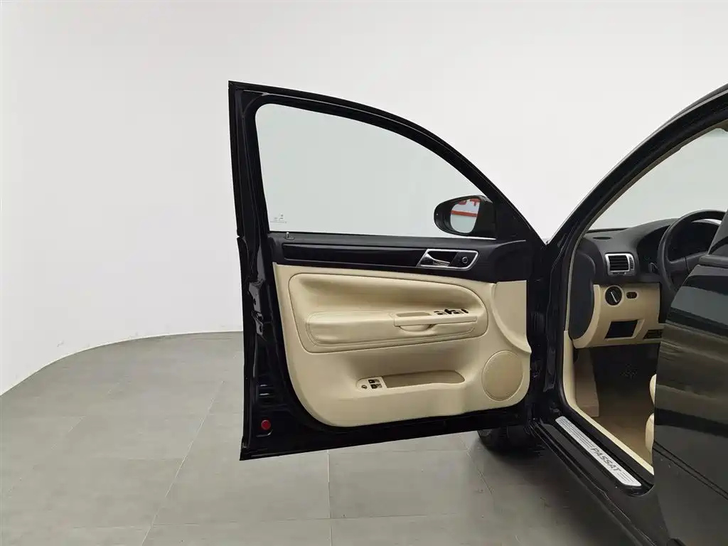 VOLKSWAGEN OTHER 2009