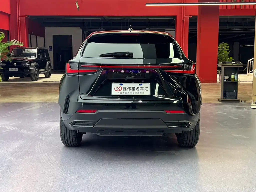 LEXUS NX 2022