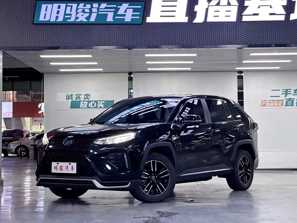 TOYOTA WILDLANDER NEW ENERGY 2021