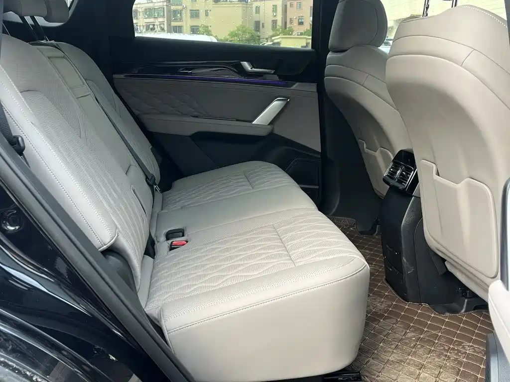 BYD TANG NEW ENERGY 2025