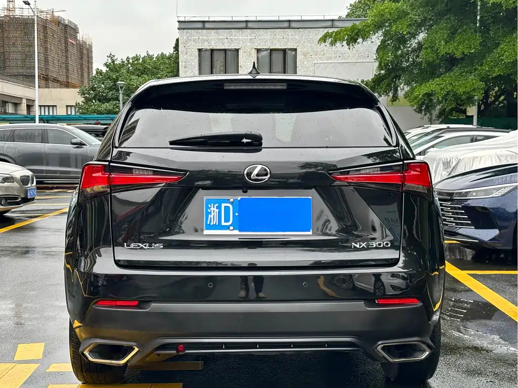 LEXUS NX 2018