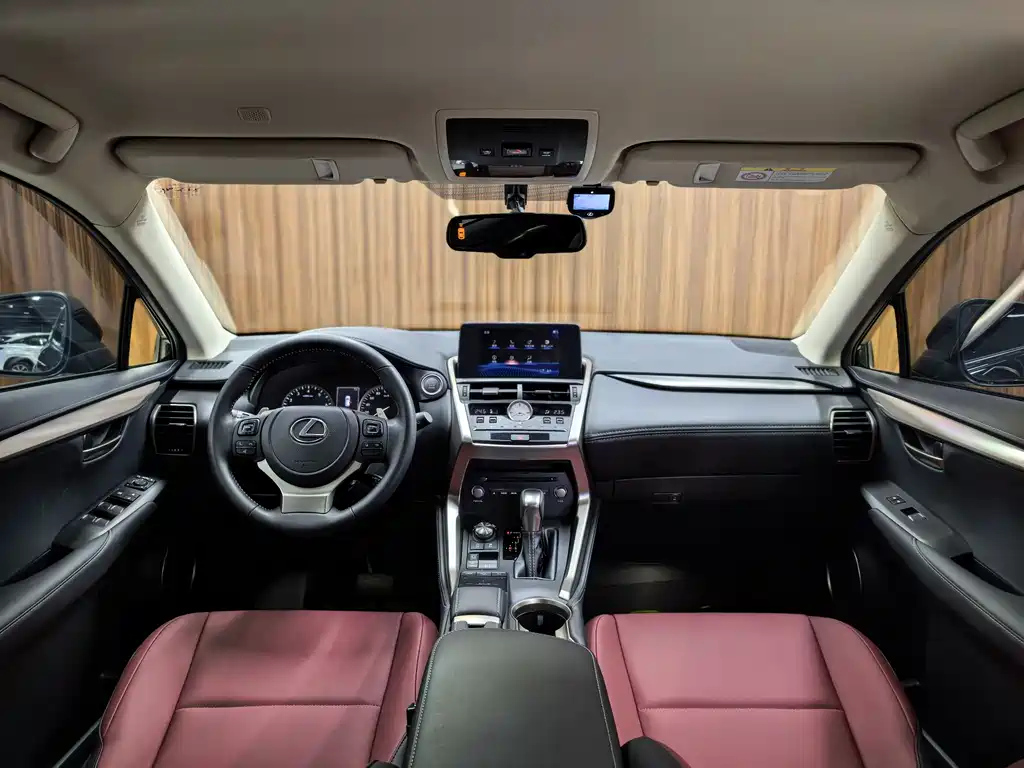 LEXUS NX 2020