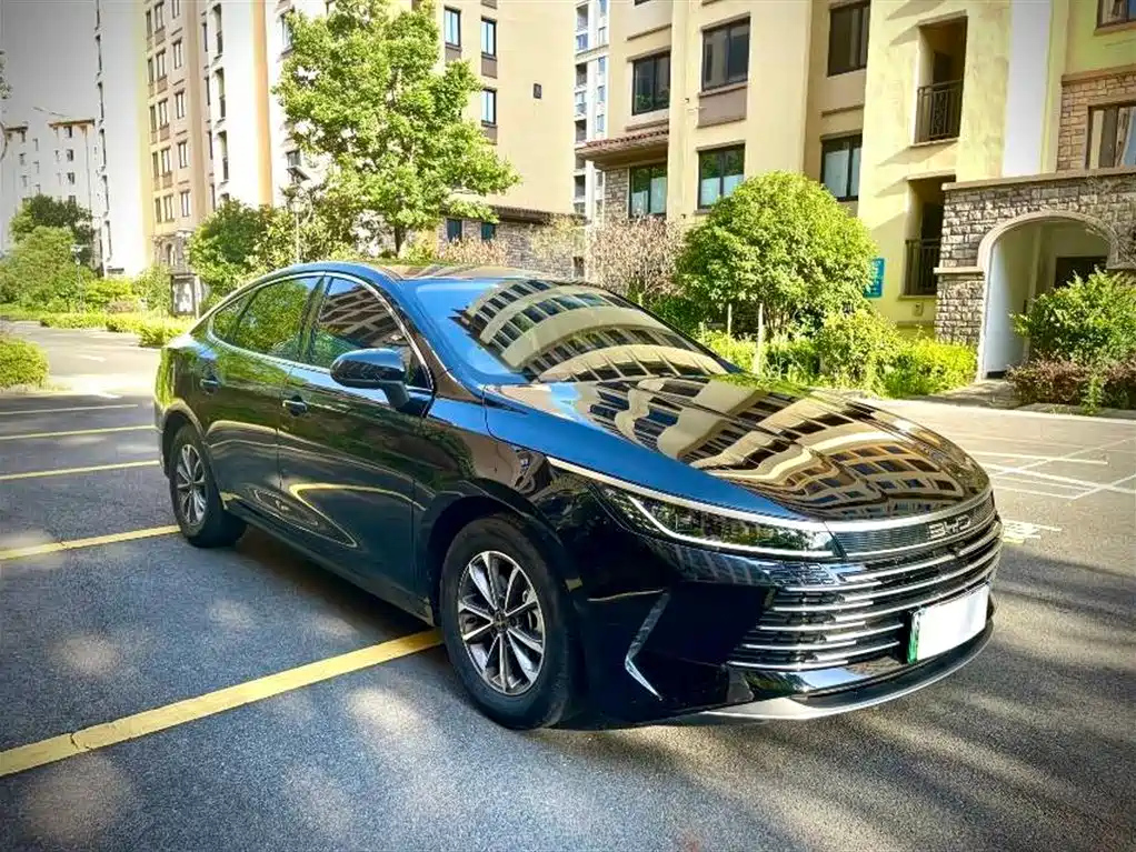 BYD DESTROYER 05 2024