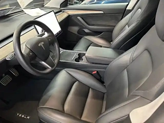 TESLA MODEL 3 2022 YEAR POWER EDITION 2022
