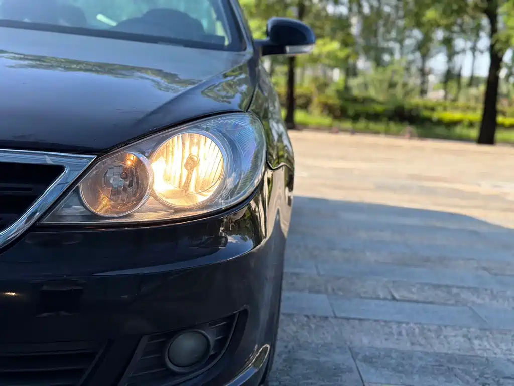 VOLKSWAGEN LAVIDA 2010