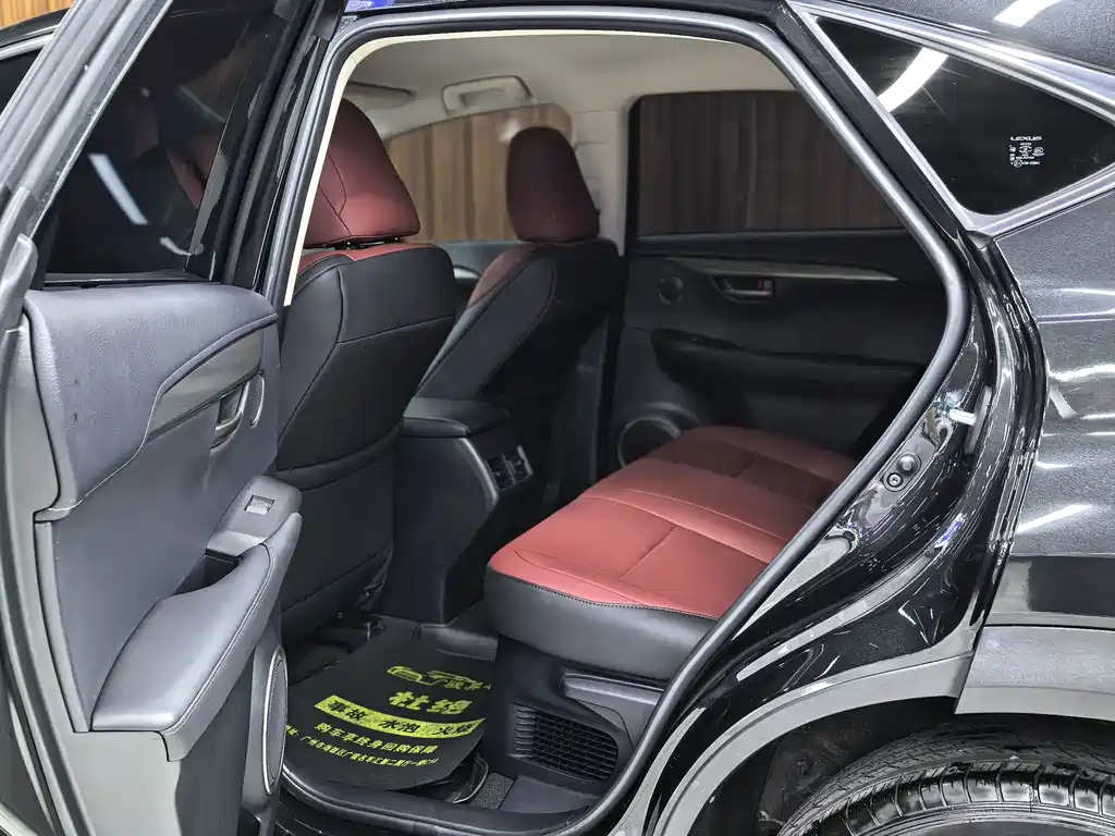 LEXUS NX 2020