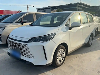 MAXUS OTHER  2024
