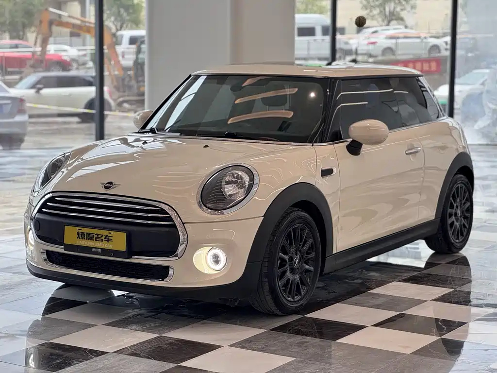 MINI OTHER 2018