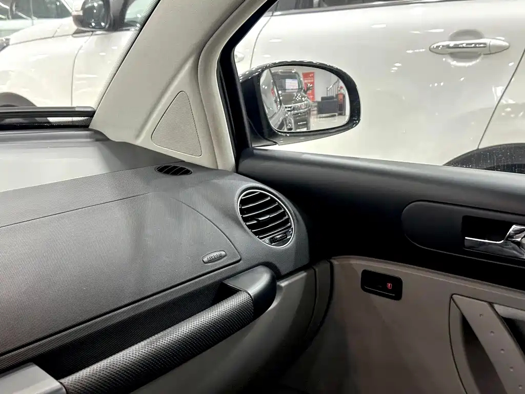 VOLKSWAGEN BEETLE 2010