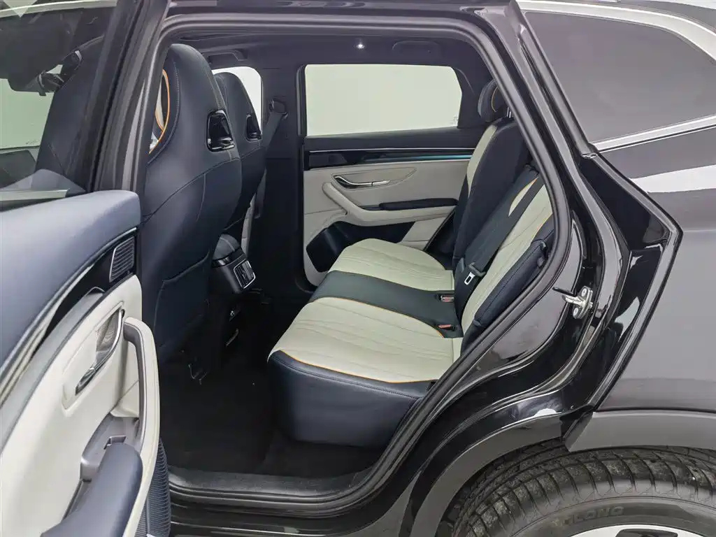 BYD SONG PLUS NEW ENERGY 2024
