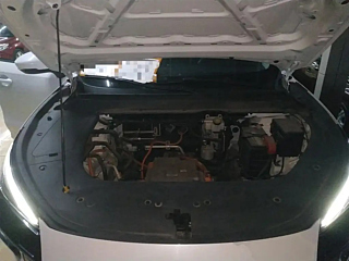 DONGFENG OTHER 2024 YEAR 410+ 2024