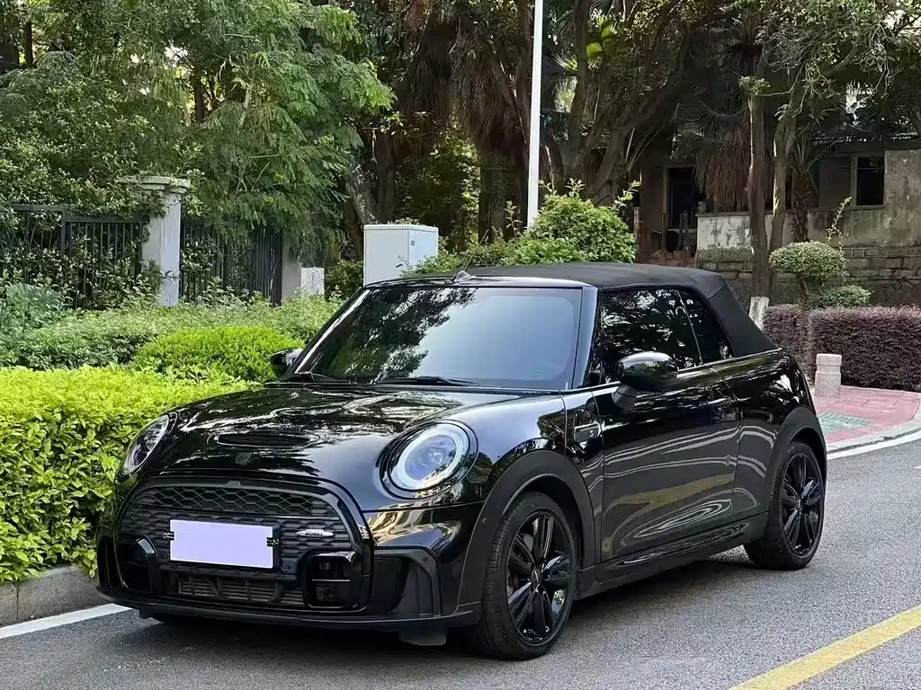 MINI OTHER 2022