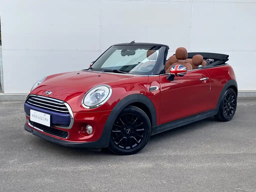 MINI OTHER 2016