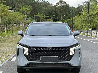 VENUCIA BIG V 2021