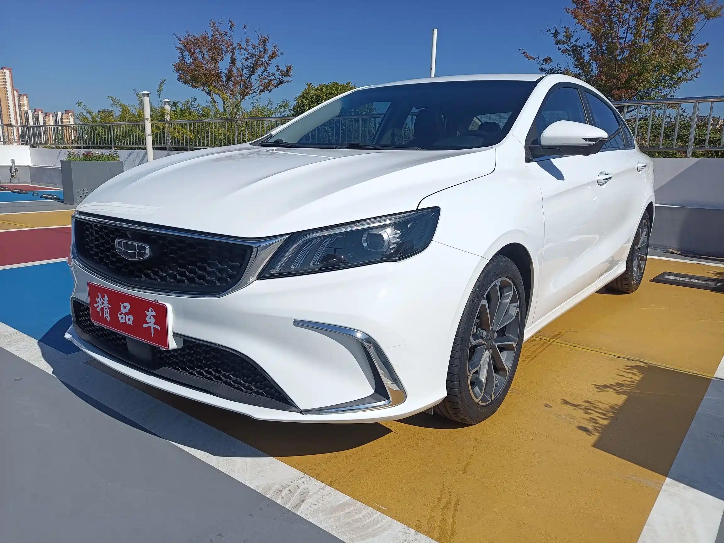 GEELY AUTO BINRUI