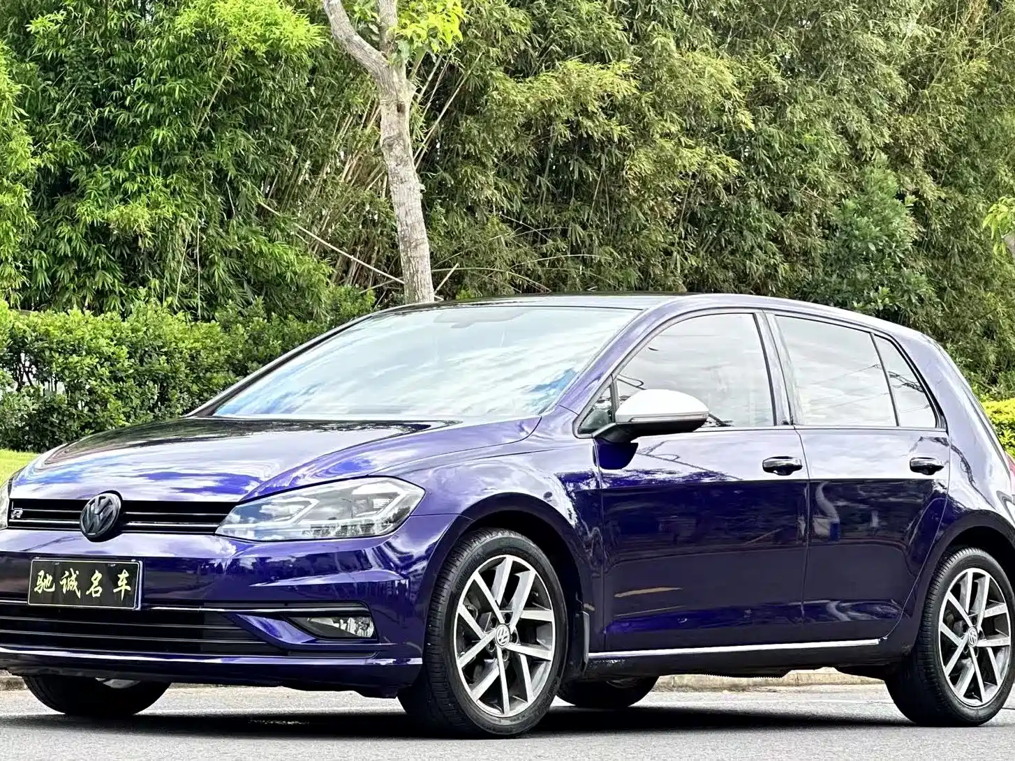 VOLKSWAGEN GOLF 2019