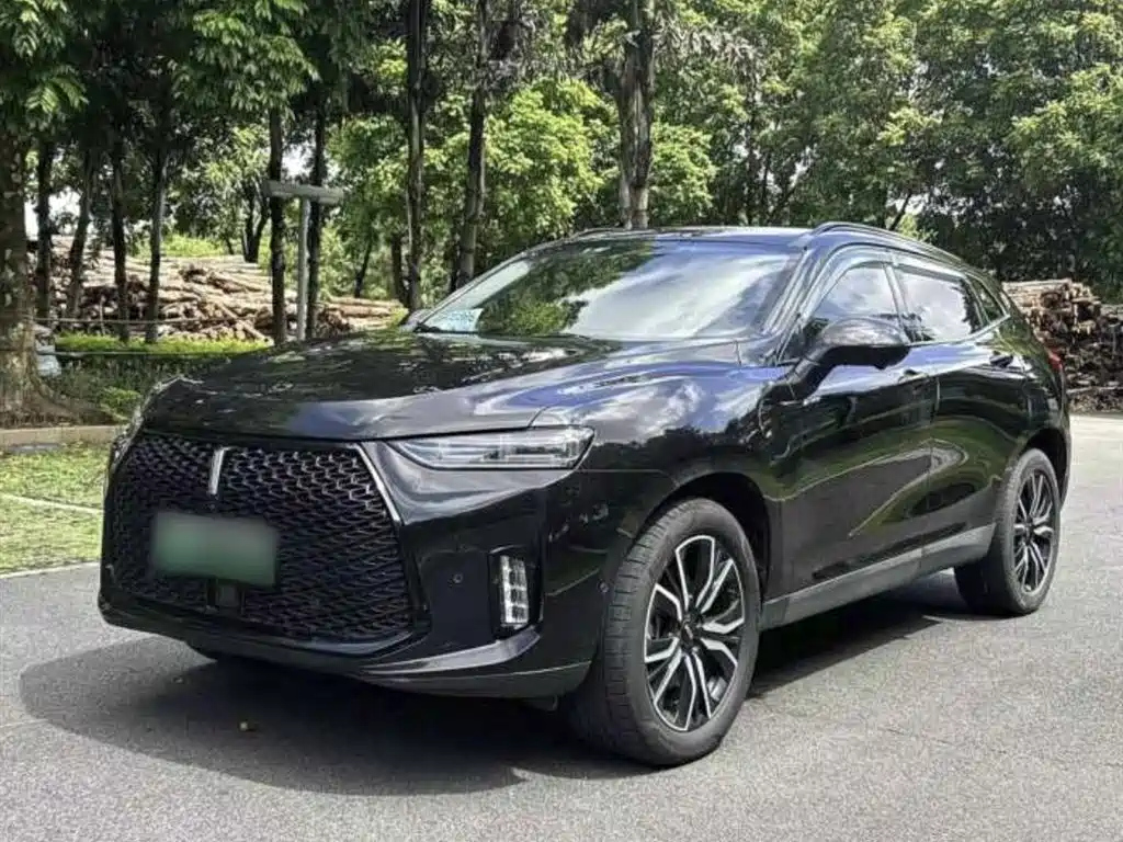 WEY P8 2018