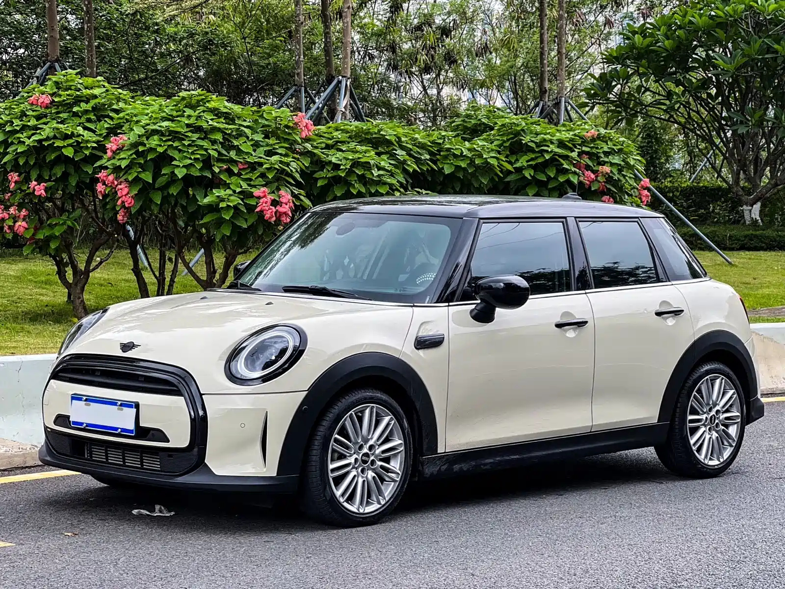 MINI OTHER 2022