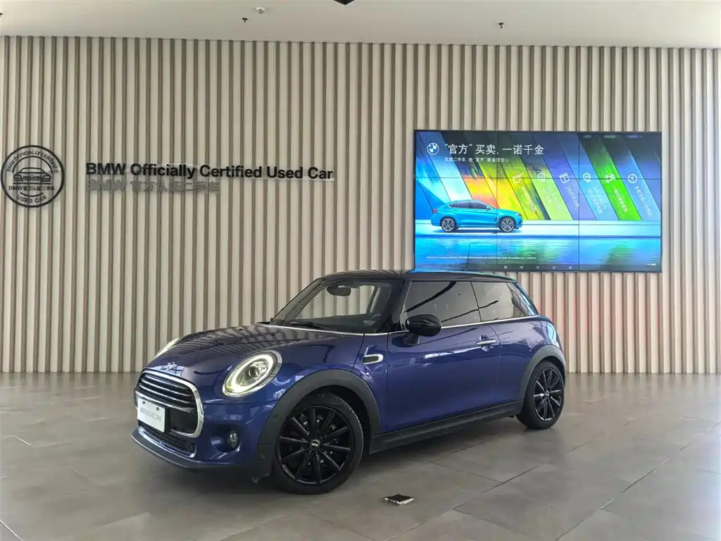 MINI OTHER 2021