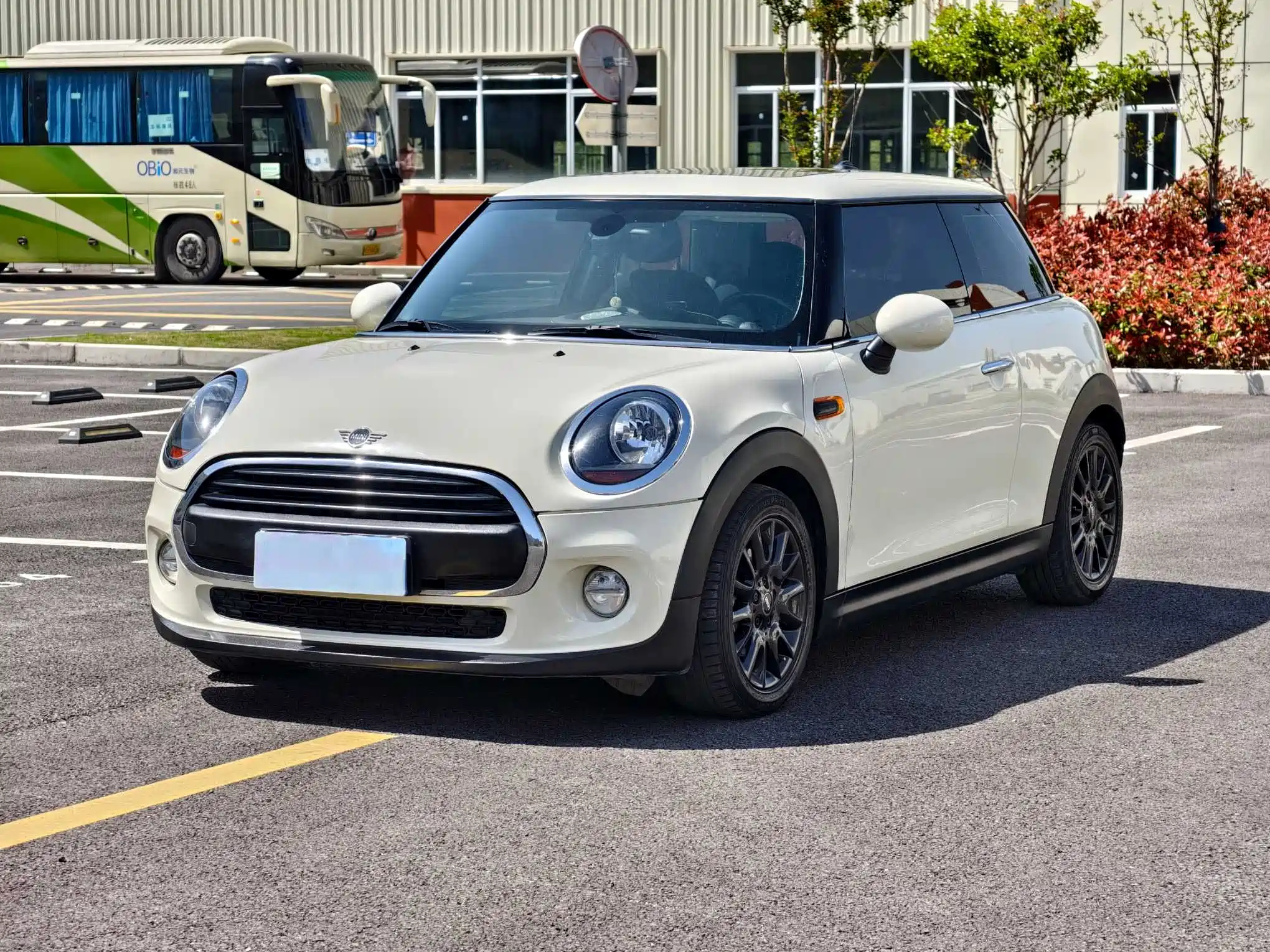 MINI OTHER 2018