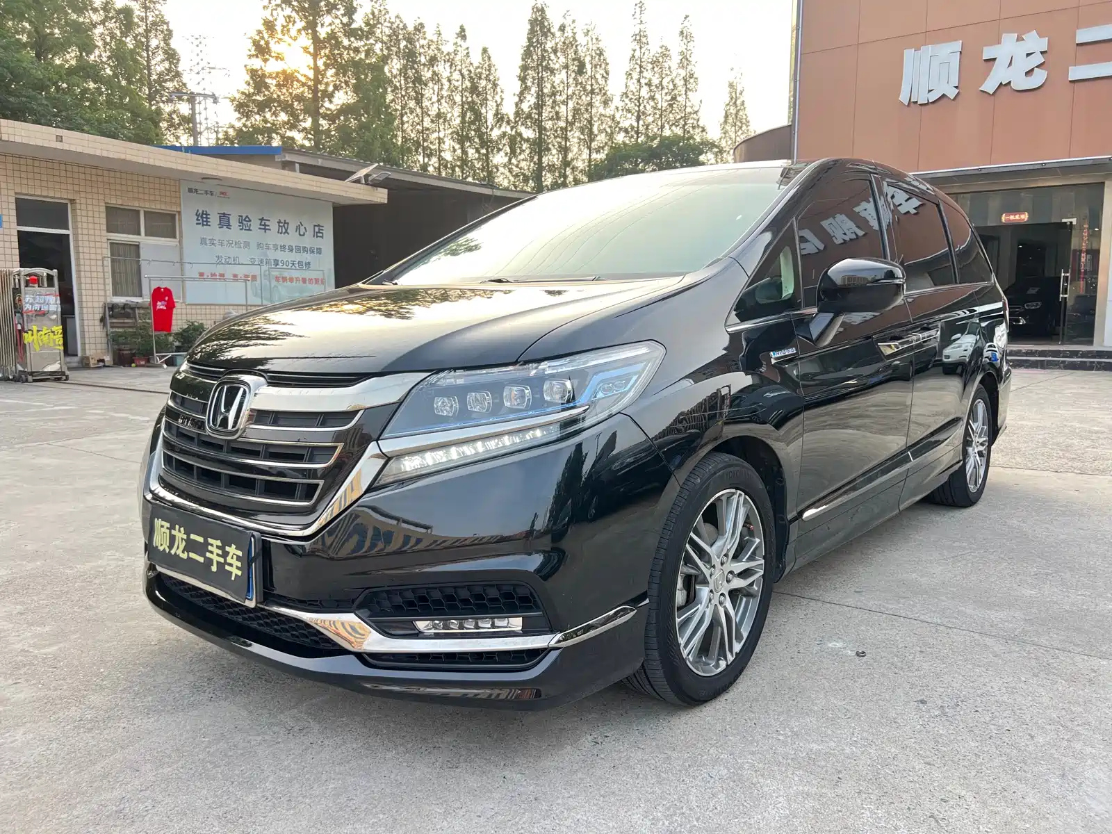 HONDA ALISON 2019