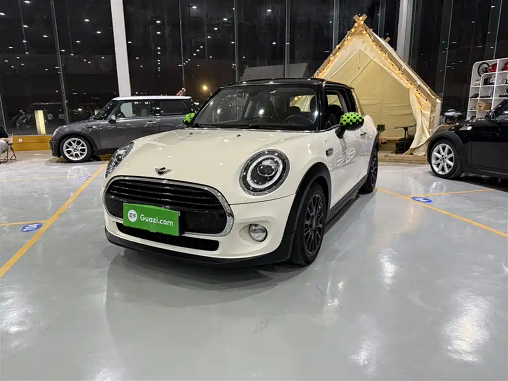MINI OTHER 2018